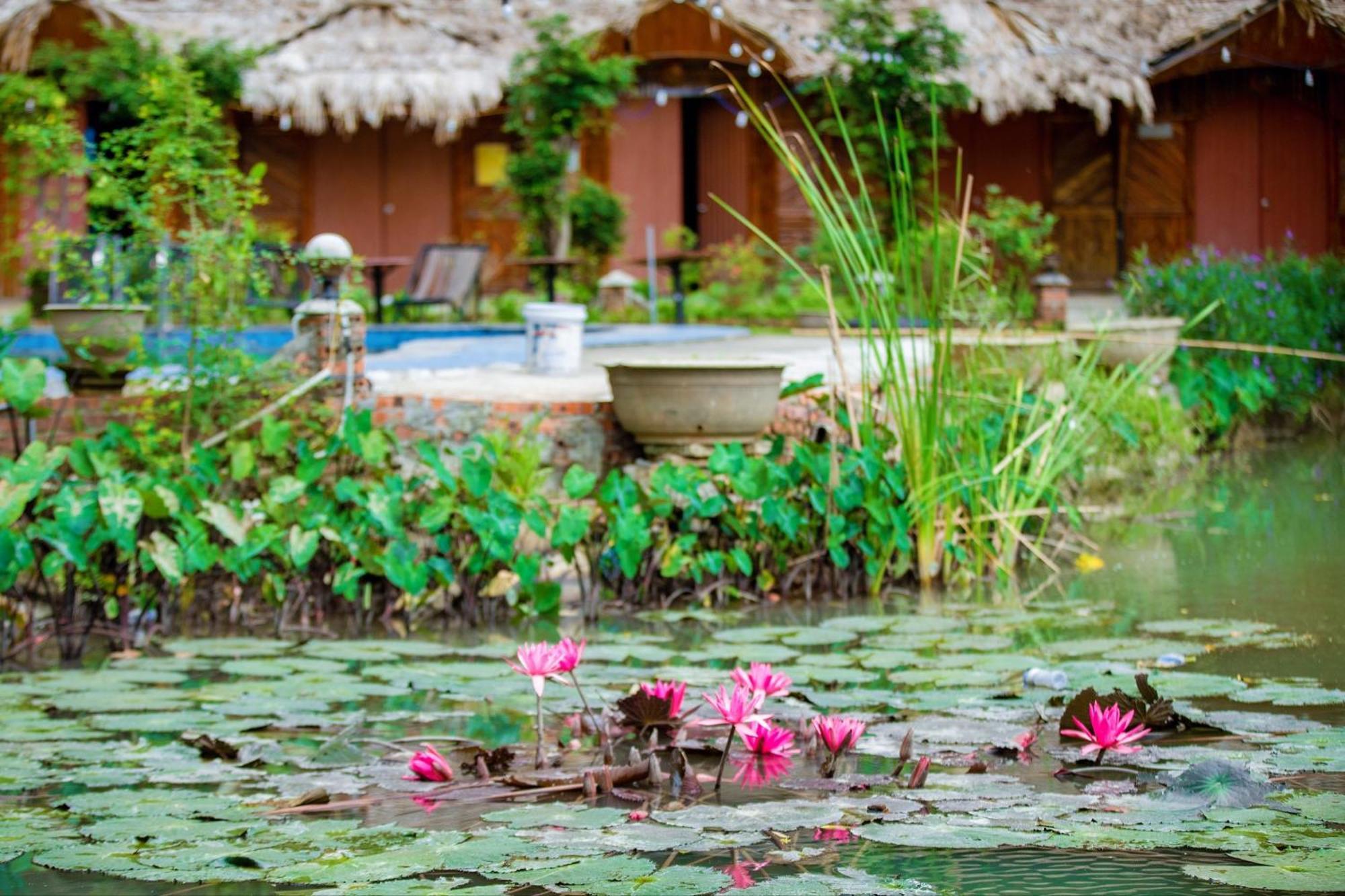 Trang An Passion Homestay Ninh Binh Exterior photo